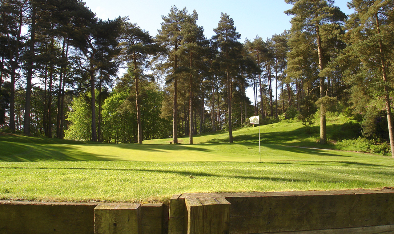 Old Thorns Golf Image